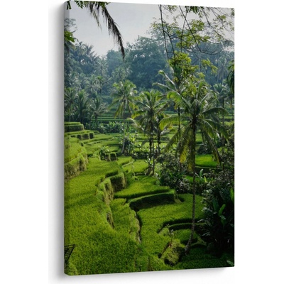 Obraz ryžových terás Tegalalang, Bali, jednodielny 60x90 cm