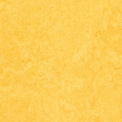 Forbo Marmoleum home H64 2 m 1 m²
