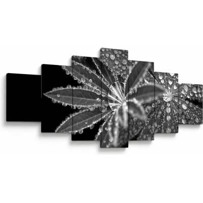 Obraz - Kvapky, sedemdielne 210x100 cm