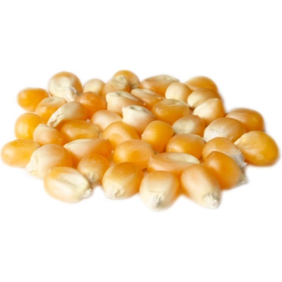 Profikoření - Kukuřice zrno na popcorn 5 Kg – Hledejceny.cz