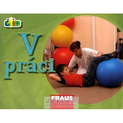 V práci - Scott Janine