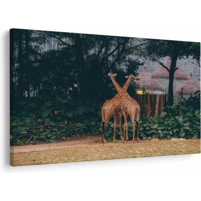 Obraz dvoch žiráf, jednodielne 150x100 cm