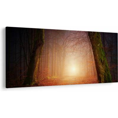 Obraz jesenného lesa v hmle, jednodielne 200x100 cm