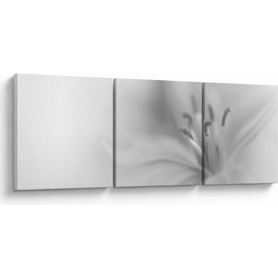 Obraz - Jemná ľalia, trojdielne 120x40 cm