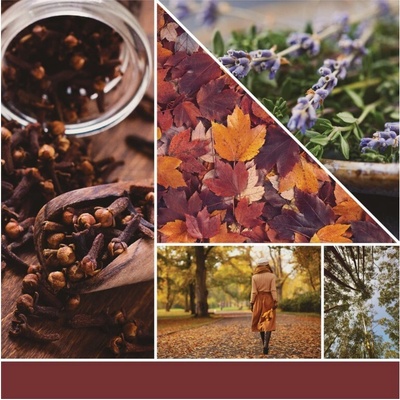 Yankee Candle Autumn Daydream signature tumbler 567 g