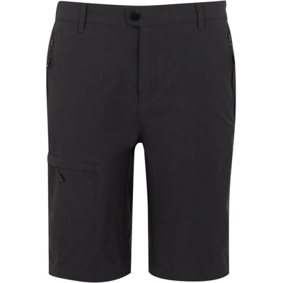 Regatta Highton Shorts Long II sivá