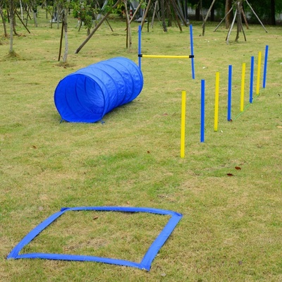 Goleto Agility překážky pro psy, sada 4 typy