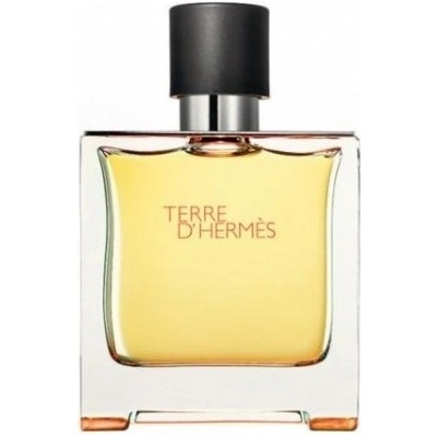 Hermes Terre D parfém pánský 75 ml