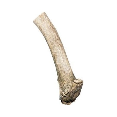 Sirius MP Pochoutka paroží Daněk 140-170 g