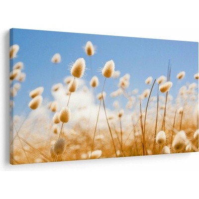 Obraz - Zlaté pole, jednodielne 150x100 cm