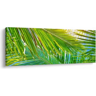 Obraz - Palmové listy, jednodielne 100x40 cm