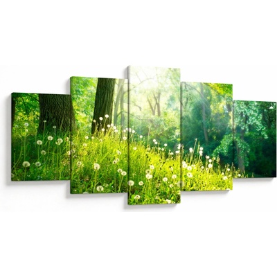 Obraz - Magická lúka plná púpav, päťdielne 150x80 cm