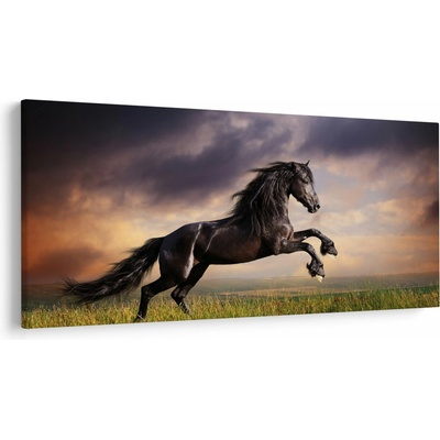 Obraz - Kone, jednodielne 250x125 cm