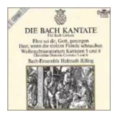 Johann Sebastian Bach - Cantatas Vol 5 & 6 CD – Hledejceny.cz