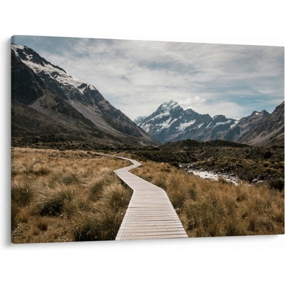 Obraz - Chodník v údolí hory Mt. Cook, jednodílný 100x70 cm