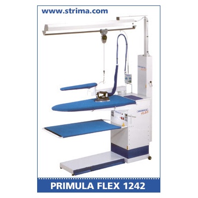 Primula FLEX 1242