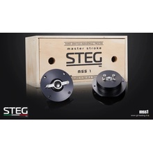 STEG MSS1