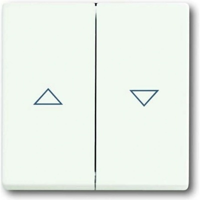 Busch-Jaeger 2CKA001751A3022
