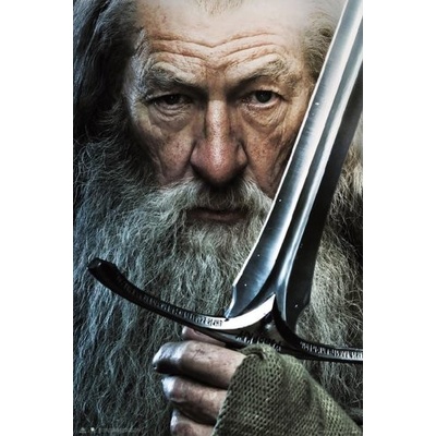 Plagát, Obraz - The Lord of the Rings - Gandalf and Glamdring, (61 x 91.5 cm)