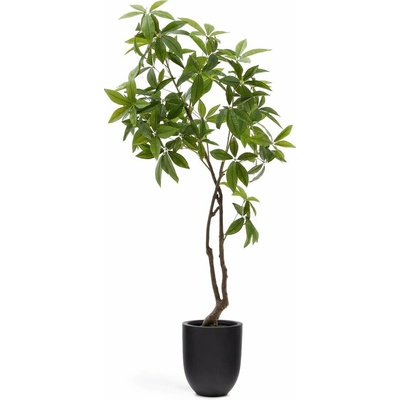 Umelá rastlina (výška 180 cm) Pachira – Kave Home