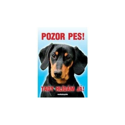 Grel Tabulka pozor pes jezevčík trpasličí – Hledejceny.cz