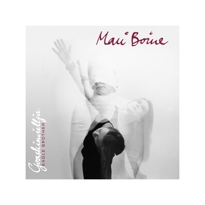 Mari Boine - Goaskinviellja - Eagle Brother LP – Hledejceny.cz