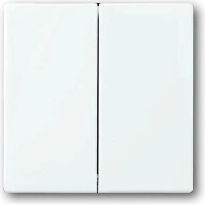 Busch-Jaeger 2CKA001751A2752