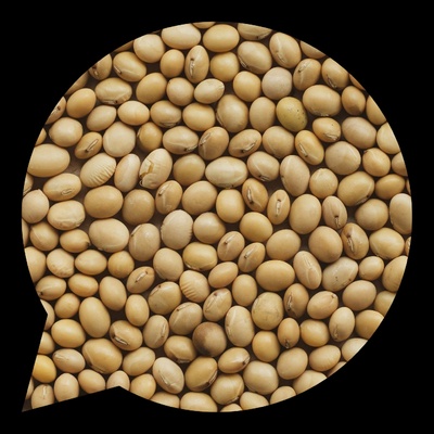 Country Life Bio Sójové boby 0,5 kg