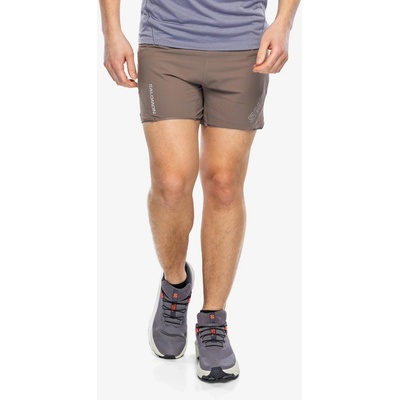 Salomon Sense Aero 5 Shorts iron