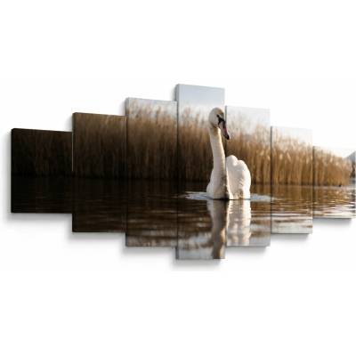 Obraz labutě, sedmidílný 210x100 cm