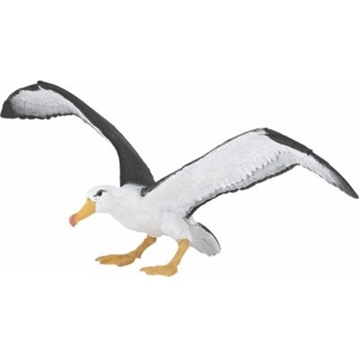 Albatros – Hledejceny.cz
