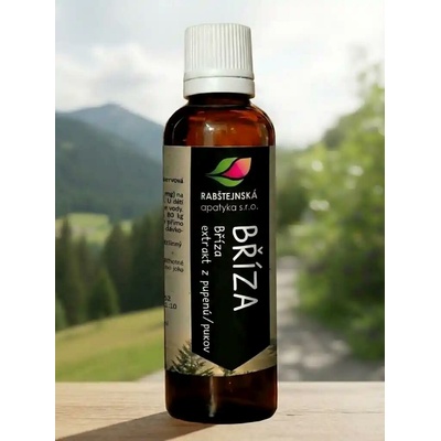 Rabštejnská apatyka Bříza tinktura z pupenů rostlin 50 ml – Hledejceny.cz