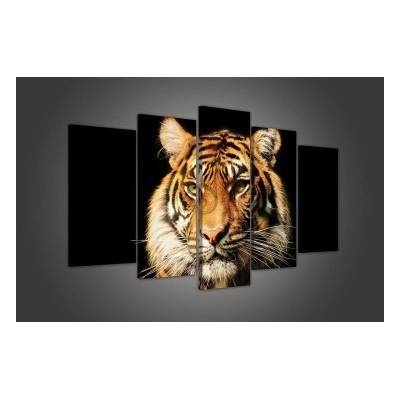 Obraz na plátne viacdielny - OB3445 - Tiger 100cm x 60cm - S17