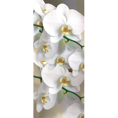 Preinterier Fototapeta - DV0319 - samolep. fólia - 91cm x 211cm