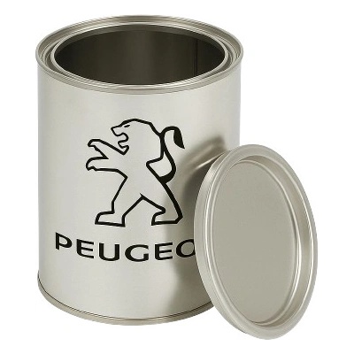 Peugeot autolak 100ml I Peugeot - odstíny: 7056 Blanc Alaska – Hledejceny.cz