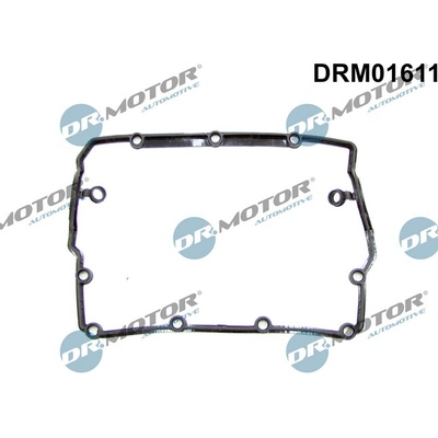 DR.MOTOR AUTOMOTIVE Tesnenie veka hlavy valcov DRM01611