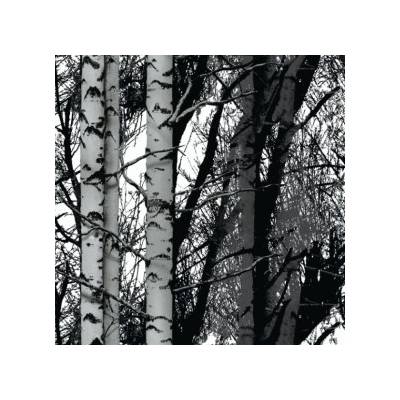 D-C-Fix Samolepiaca fólia 200-3197 Les 45cm x 15m