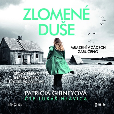 Zlomené duše - Patricia Gibneyová