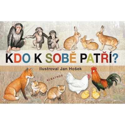 Kdo k sobě patří