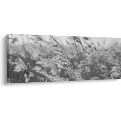 Obraz - Tráva vo vetre, jednodielne 100x40 cm