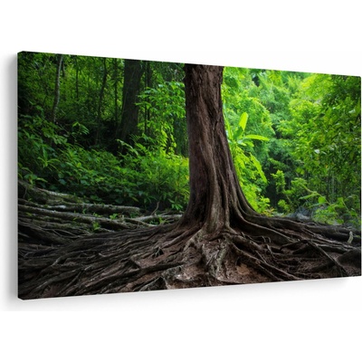 Obraz - Starý strom s koreňmi, jednodielne 150x100 cm