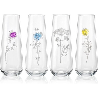 Crystalex Sklenice na prosecco Louka 4 x 250 ml