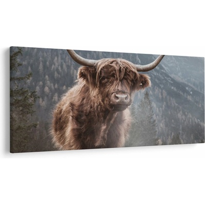 Obraz - Highlander krava, jednodielne 250x125 cm