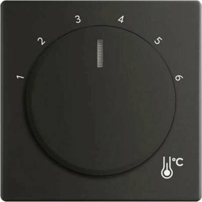 Busch-Jaeger 2CKA001710A4205