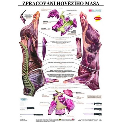 Scientia Plakát - Zpracování hovězího masa – Hledejceny.cz