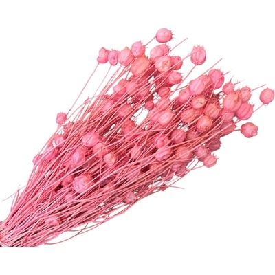 Sušené kvety Černuška - Nigella damascena 100g - bielená ružová