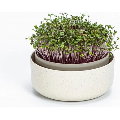 Plastia klíčiaca miska Microgreens Slonová kosť s kávovou sídlinou