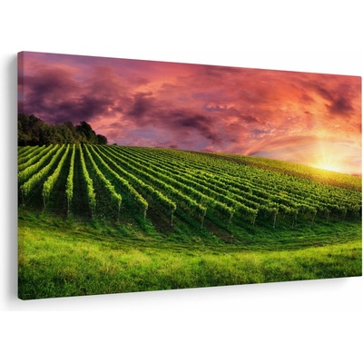 Obraz vinohradu s barevným nebem, jednodílný 120x80 cm