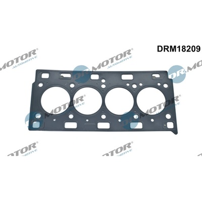DR.MOTOR AUTOMOTIVE Tesnenie hlavy valcov DRM18209