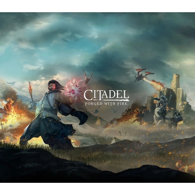 Citadel: Forged With Fire